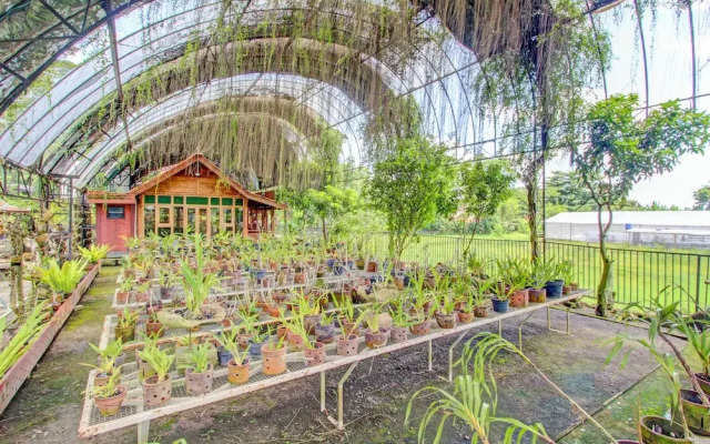 OYO 95018 Anggrek Homestay Jogja Syariah