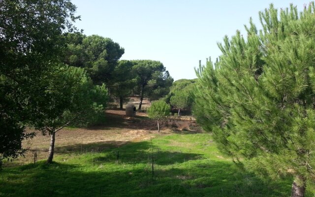 Albergue Rural Territorio del Gato