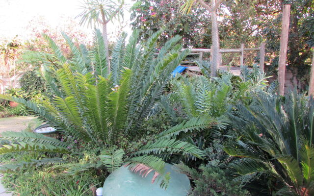 Matt's Rest B&B and Self Catering