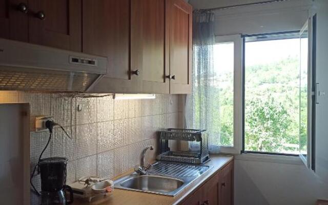 Elli΄S House Συγχρονο Σπιτι Στα Πραμαντα