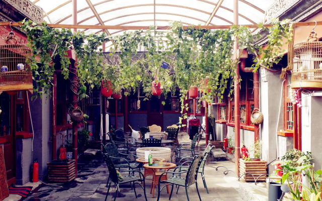 Three Legged Frog Hostel