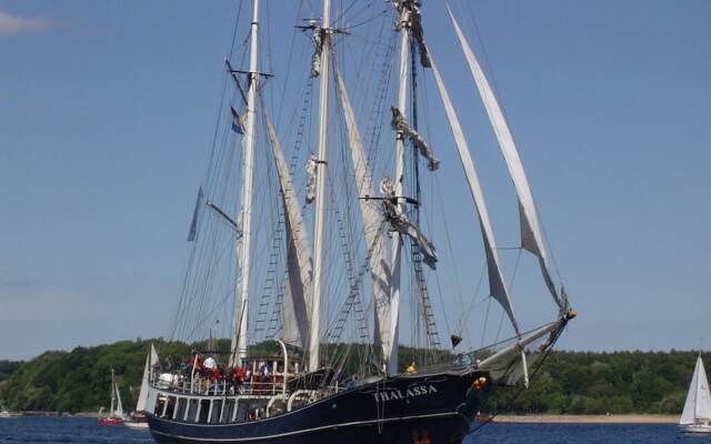 Yellow - Peter's Modern Retreat