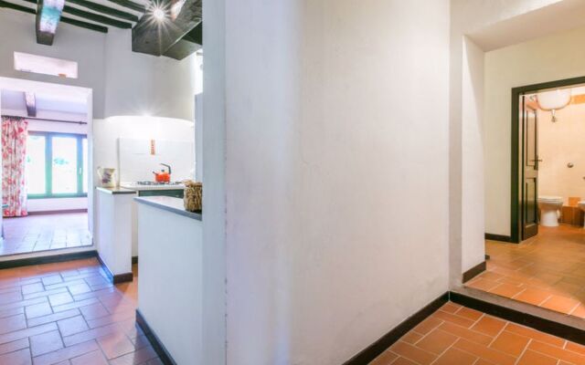 Bardeggiano - Caterina 3 (COL246)