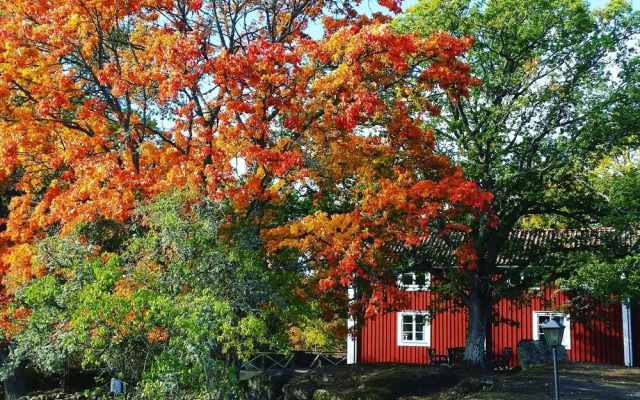 STF Tjärö Hotell & Vandrarhem