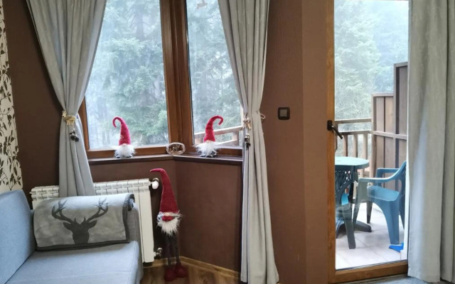 Studio Iceberg Borovets Студио с кухня