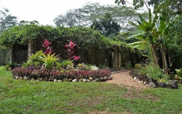 Belize Botanic Gardens' Cottages and Jungle Guest House