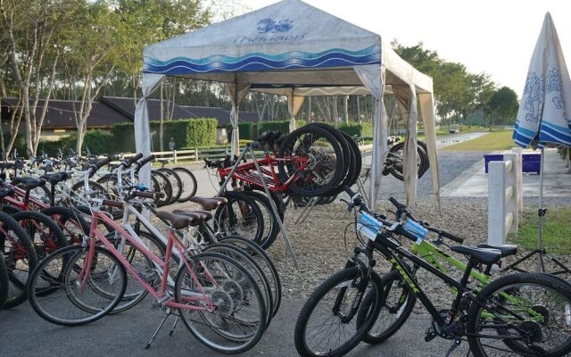 Singha Park Chiang Rai Camping