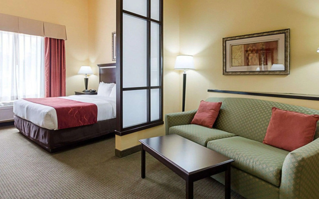 Comfort Suites Palestine
