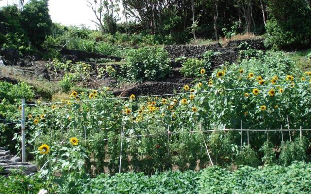 Casa Do Avô Faidoca