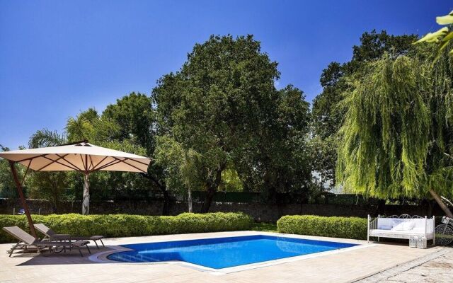 Ada Dreams / Village