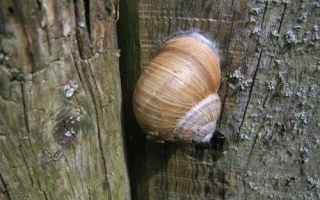 Natur-Aktiv-Hof Thiem