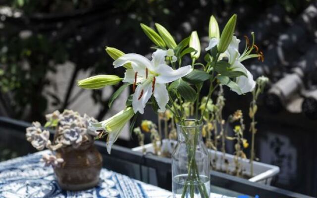 Po return. Slow talk