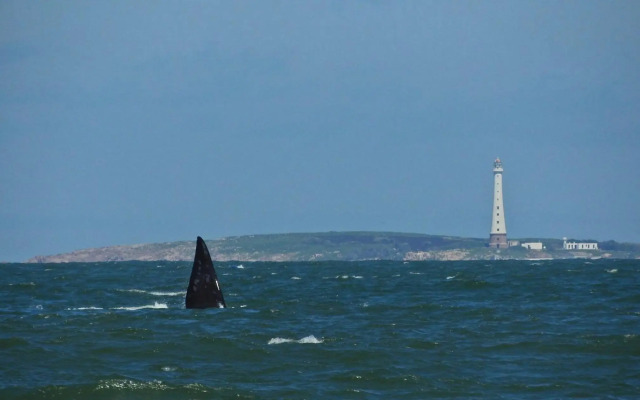 Viento Azul Guest House