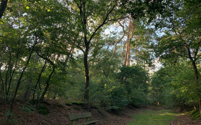 De Spitse Egel: ontdek de pareltjes in de natuur!