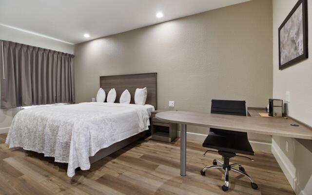 Red Roof Inn Plus+ Galveston - Beachfront