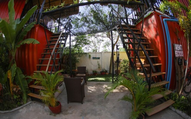 Jurassic Garden
