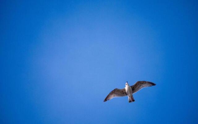 139 Ferienhaus am Wattenmeer