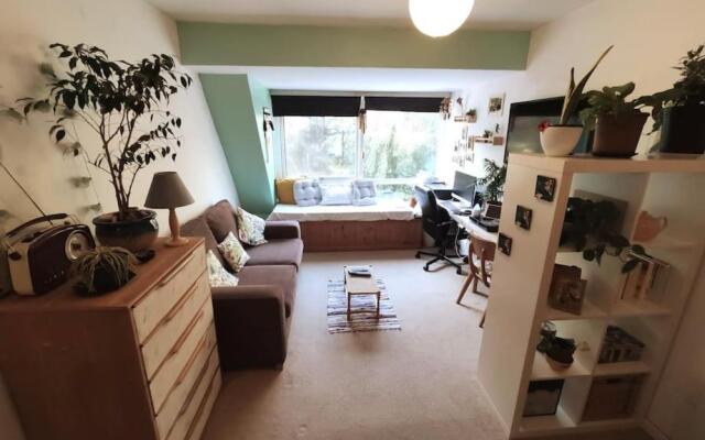 Lovely Studio Apartment , perfect central location