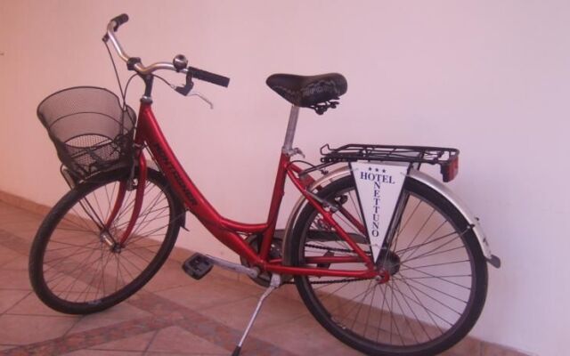 Hotel Nettuno