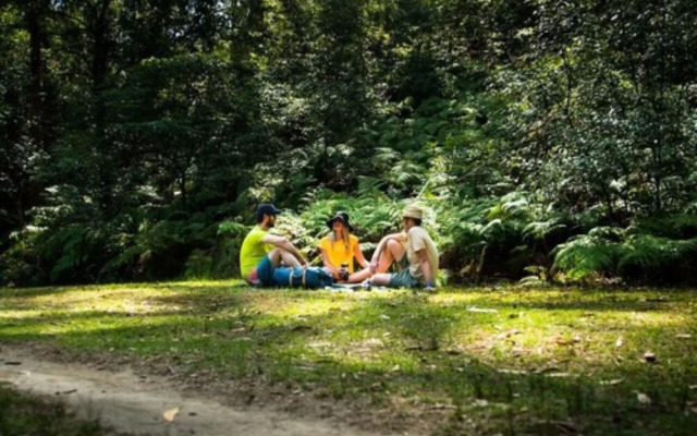Discovery Parks - Lane Cove