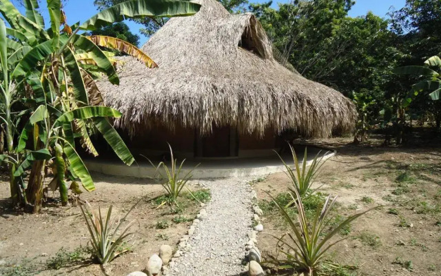 Finca Los Mangos