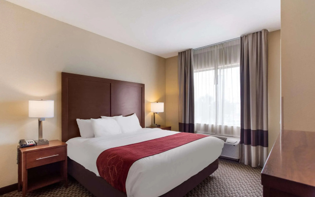 Comfort Suites Saraland - North Mobile