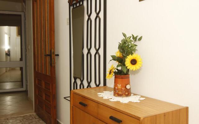Apartment Tomy