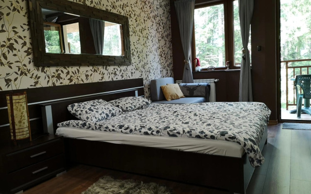 Studio Iceberg Borovets Студио с кухня