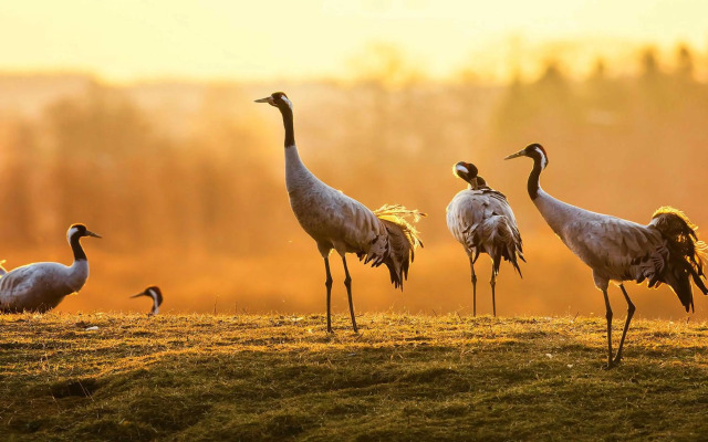 Sonnendeck im Luftkurort Klink