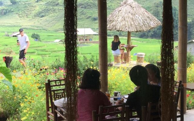 Golden Rice Garden Sapa