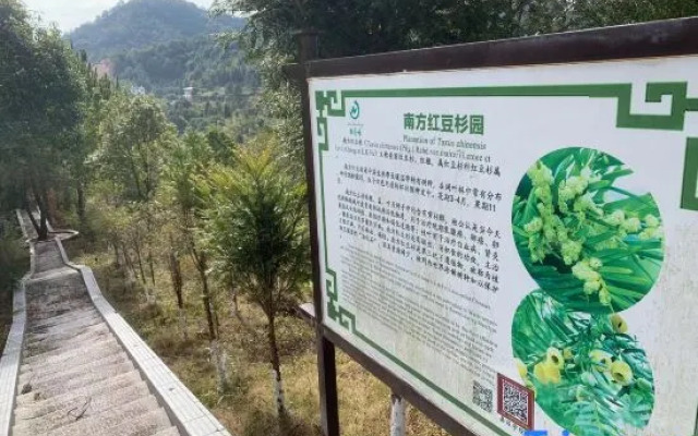 Nanshoufeng Yangshenggu