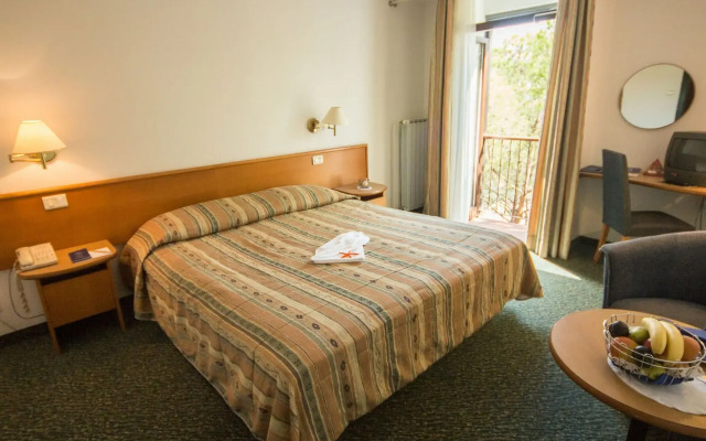 Hotel Vile Park