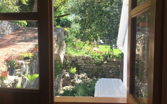 El Estanque y El Almendro