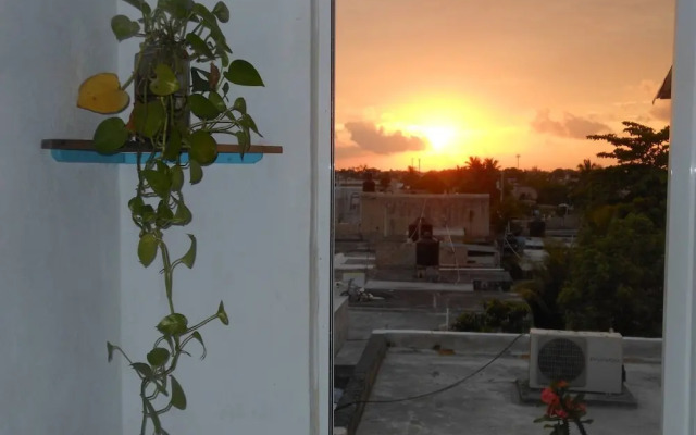 Delicious Loft Only For You