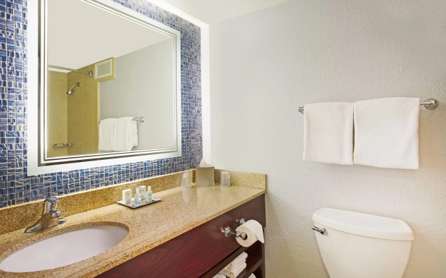 Wyndham Lake Buena Vista – Disney Springs® Area