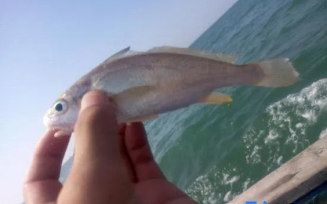 Taishan Yu Le Lou Hotel