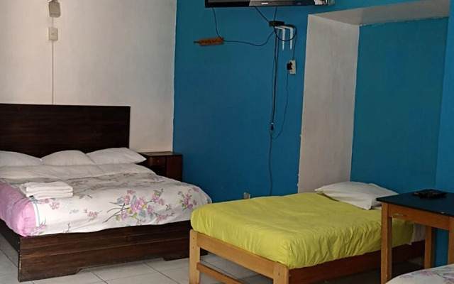 The Grasshopper Hostal Plaza de Armas