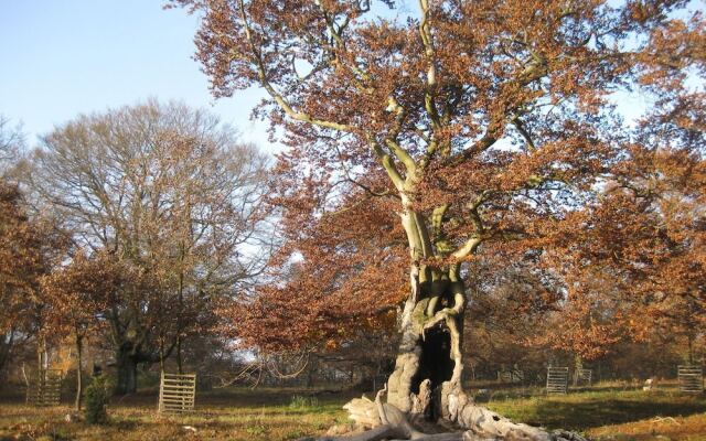 Pension Haus Abendrot