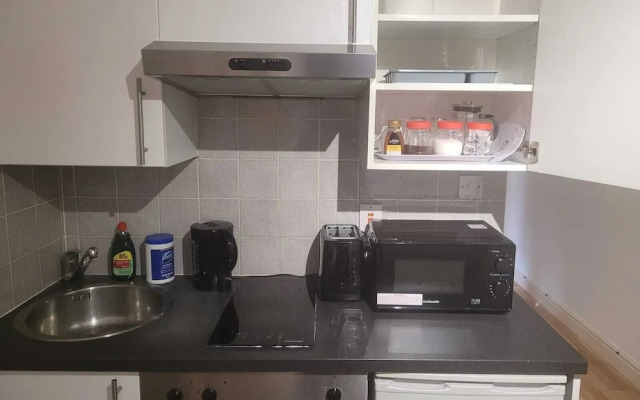 Compact Living Cosy Studio Flat in London