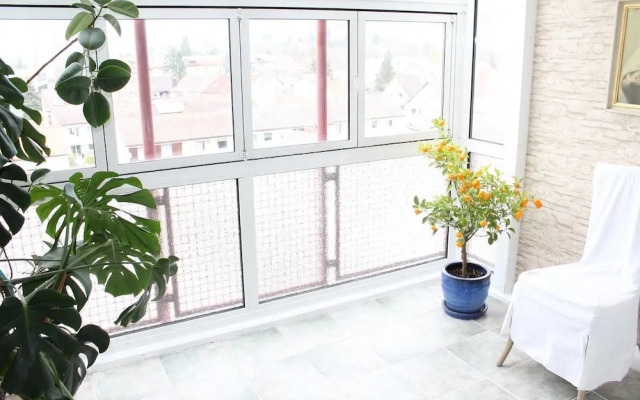 Basel Fair - Amazing Penthouse