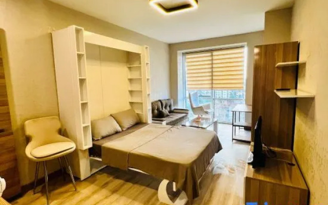 Modern Cozy Studio