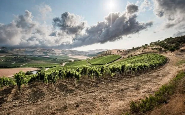 Tasca Conti d'Almerita - Tenuta Regaleali
