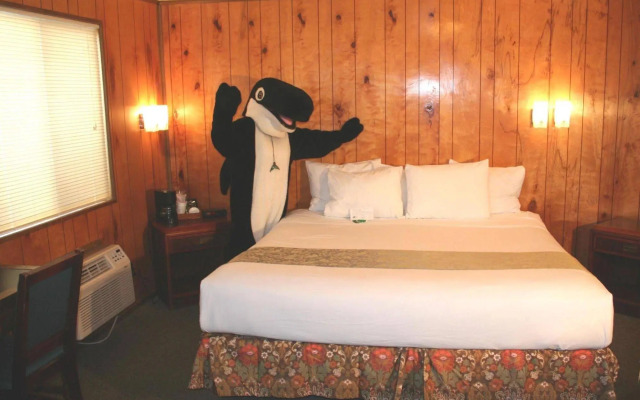 The Orca Inn