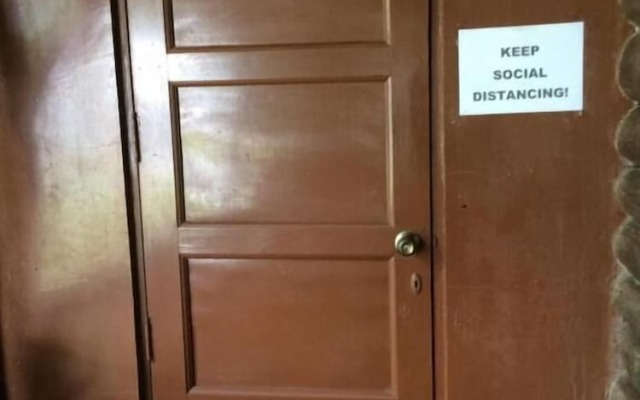 The Pelicans Castaway