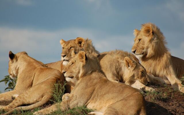 Mara Intrepids Tented Camp