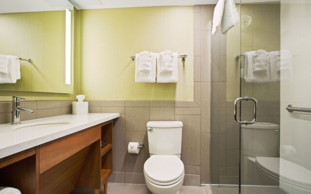 Alder Hotel Uptown New Orleans