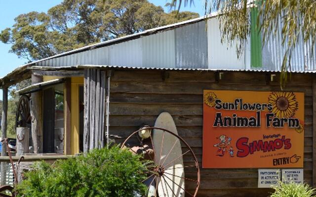 Sunflowers Animal Farm and Farmstay Guest House