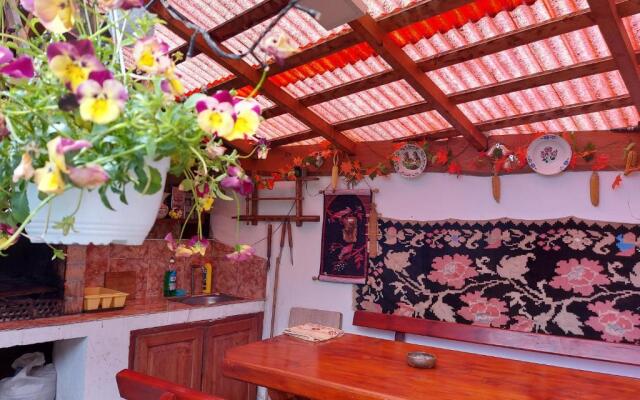 Casa Ioana