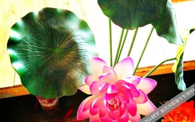 Wutai Mountain Shanhunian Inn