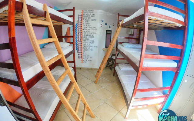 Chamos Hostel Cultural